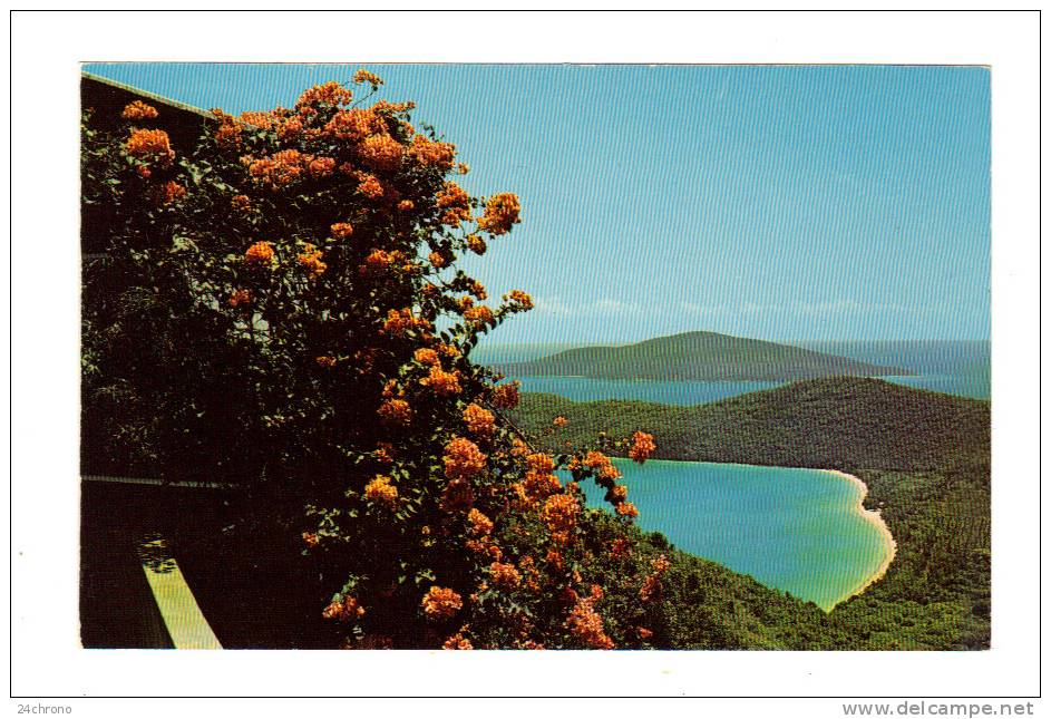 Antilles, St Thomas, Virgin Islands: Magens Bay (12-1498) - Isole Vergini Americane