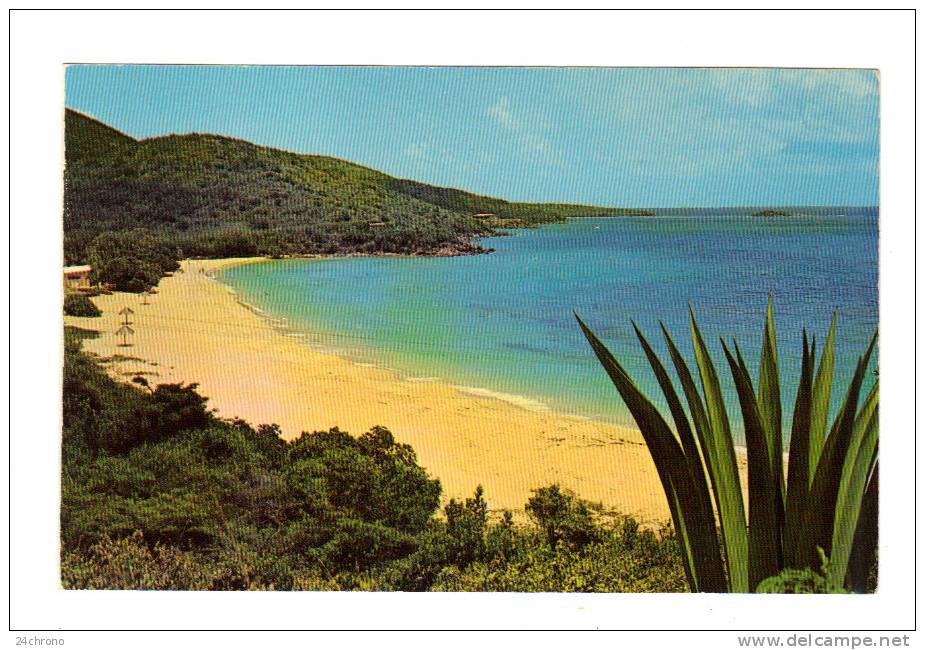 Antilles, St Thomas, Virgin Islands: Morningstar Beach (12-1501) - Isole Vergini Americane