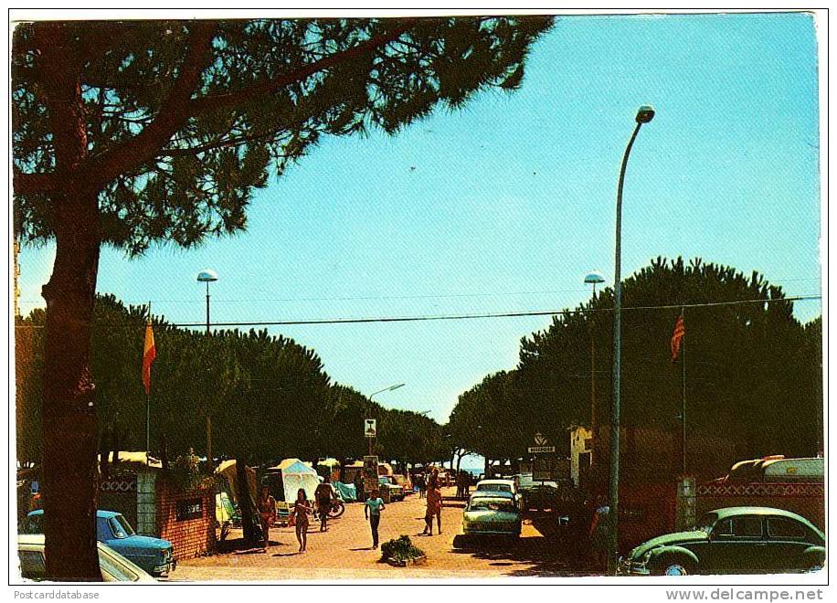 Camping S'Abanell - Blanes Costa Brava - & Old Cars, Camping - Autres & Non Classés