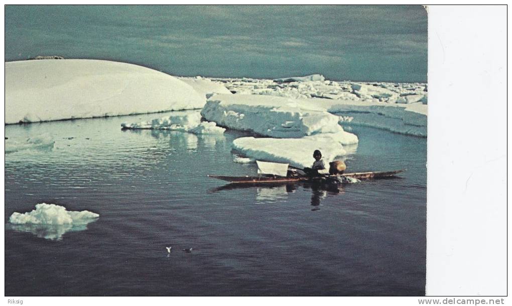 Kayak In Ice Field Off Qagssimiut. Greenland   B-812 - Greenland