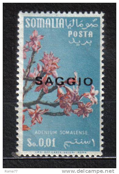 AP1341 - SOMALIA , Un Valore Soprastampato SAGGIO  ***  MNH - Somalia (1960-...)