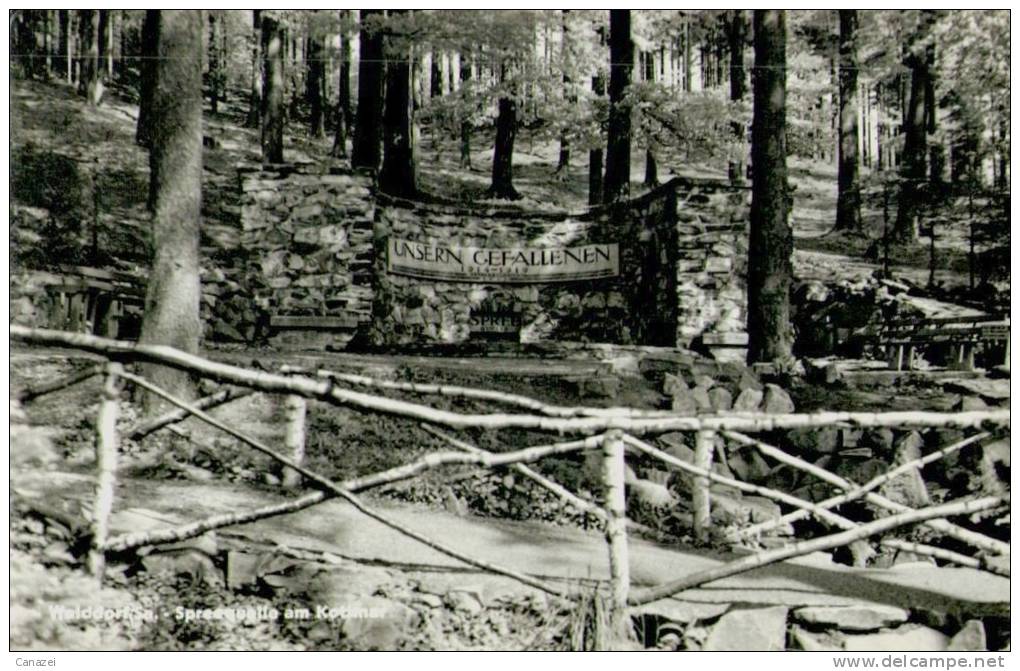 AK Walddorf, Spreequelle Am Kottmer, Gel 1964 - Ebersbach (Löbau/Zittau)