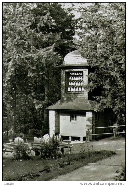 AK Bärenfels, Glockenturm, Ung, 1984 - Kipsdorf