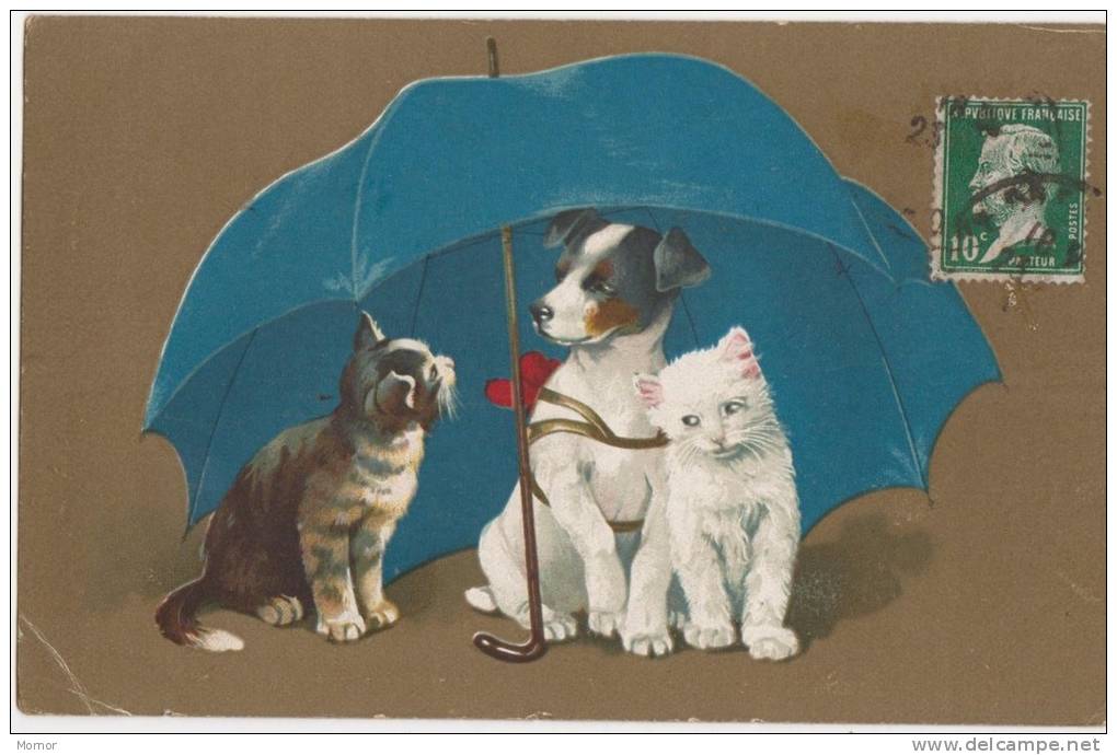 CARTE FANTAISIE  CHATS ET CHIENS Sous Un Parapluie - Gekleidete Tiere