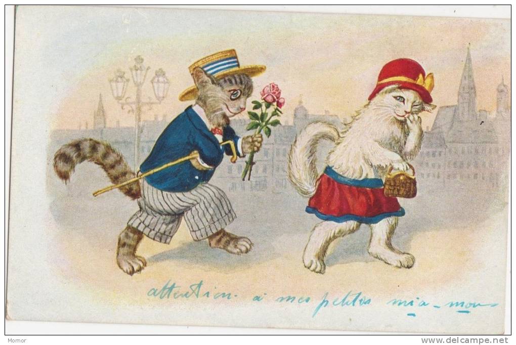 CARTE FANTAISIE  CHATS - Animaux Habillés