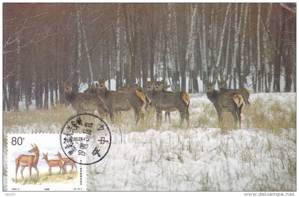 DEER, 2X, 1999, CM. MAXI CARD, CARTES MAXIMUM, CHINA - Game