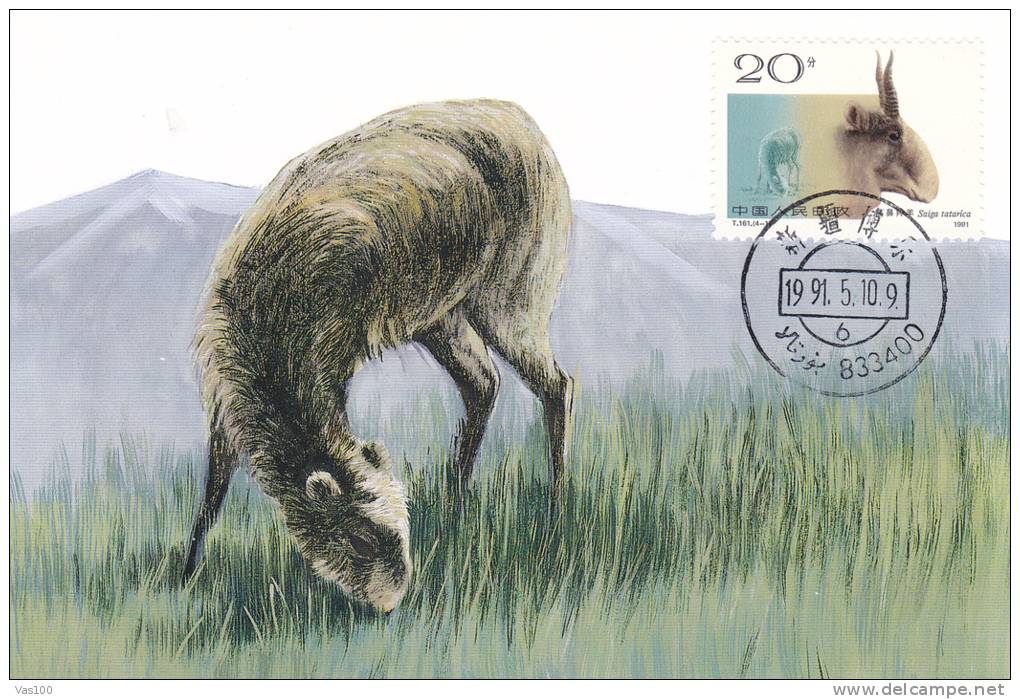 DEER, 4X, 1991, CM. MAXI CARD, CARTES MAXIMUM, CHINA - Selvaggina