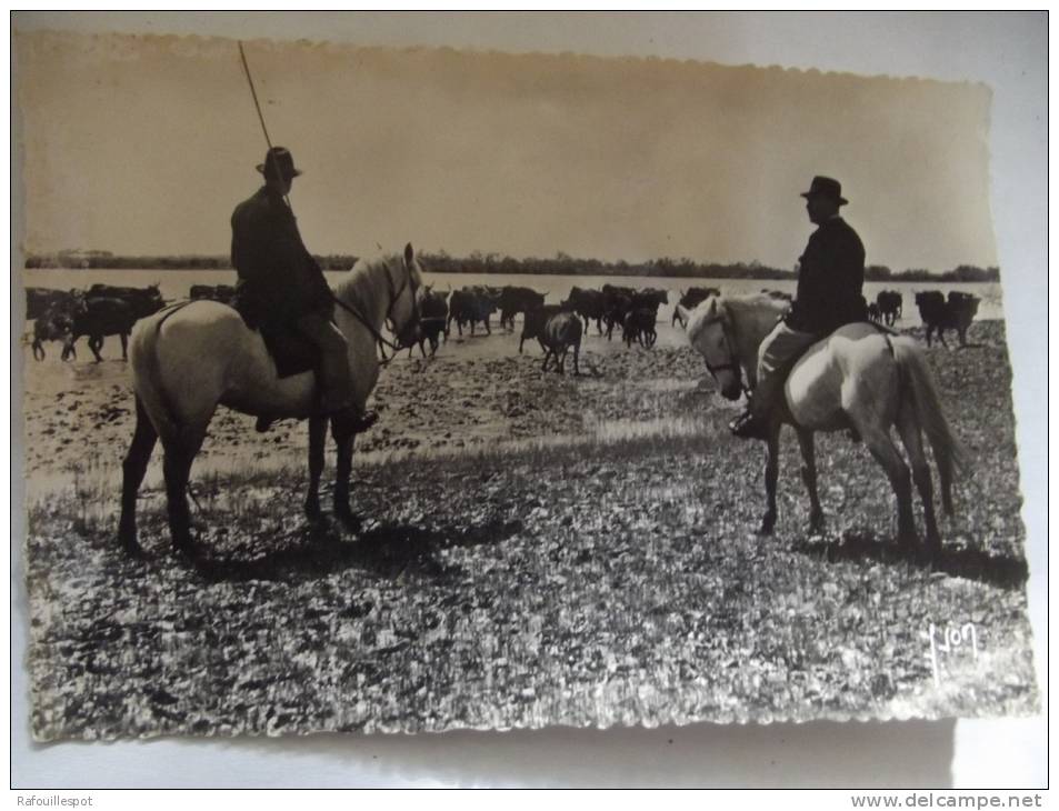 C P Camargue Manade - Autres