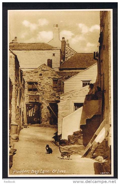 RB 856 - Early Postcard Cats In Pudden Bag Lane St Ives Cornwall - St.Ives