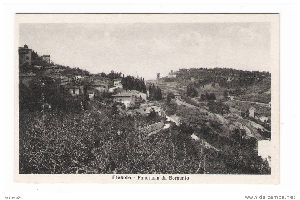 ITALIE  /  FIESOLE  ( TOSCANE ) /  PANORAMA  DA  BORGUNTO - Altri & Non Classificati