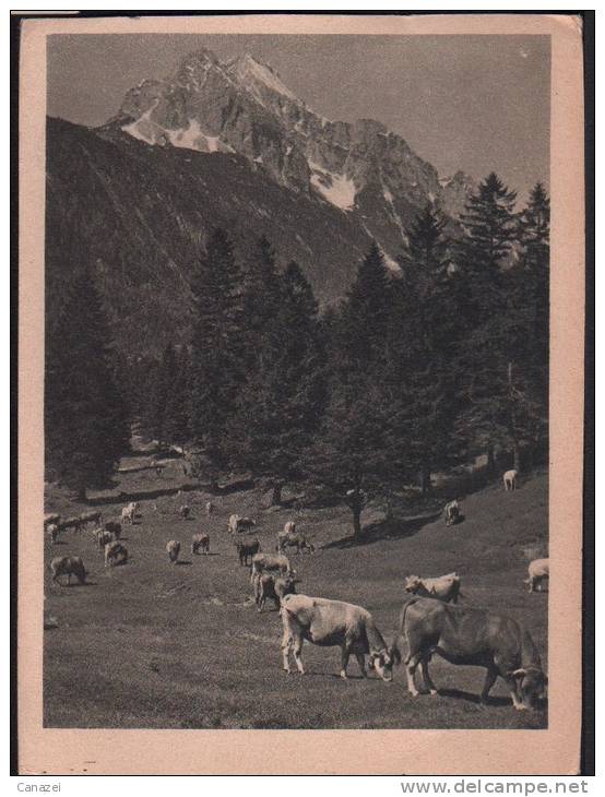 AK Lautersee Bei Mittenwald Gegen Wetterstein-Spitzen, Gel 1941 - Mittenwald