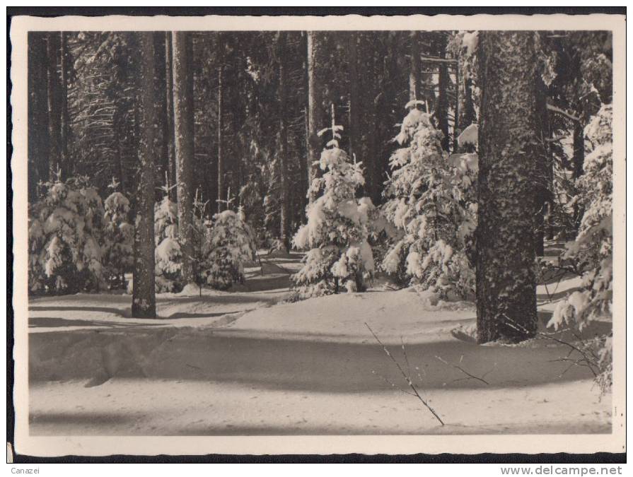 AK Poststempel Lübecke/Westfalen, Winterlandschaft, Gel 1942 - Lübbecke