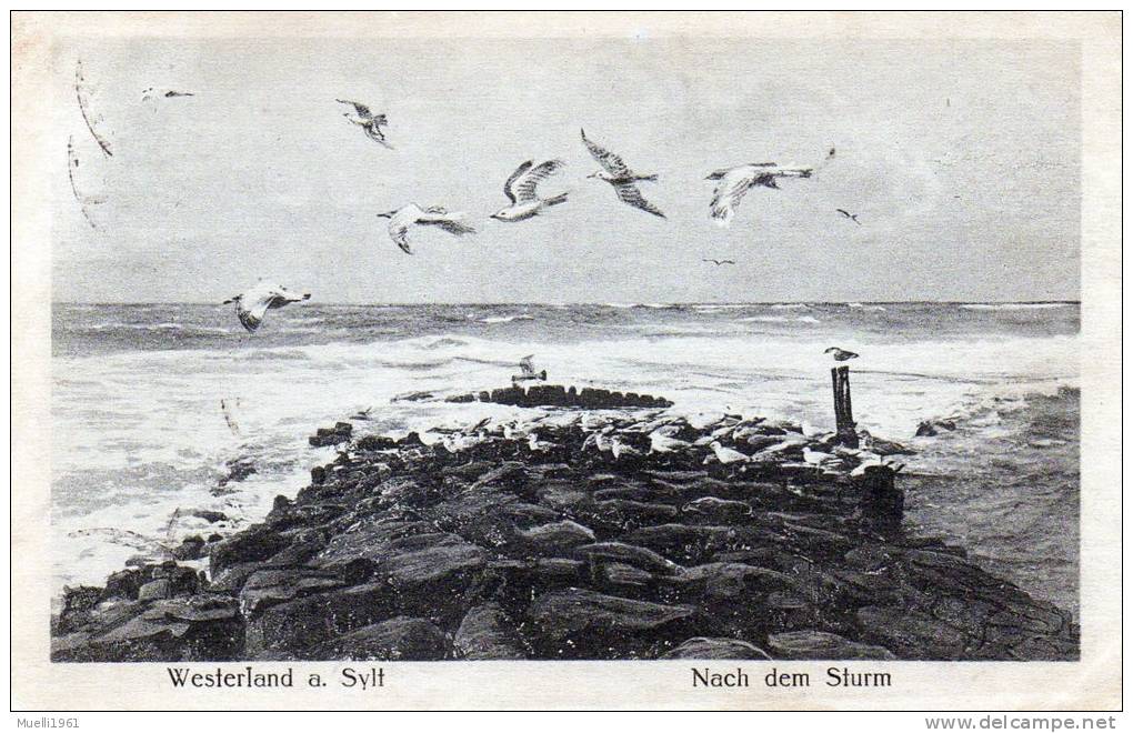 Westerland Auf Sylt, Nach Dem Sturm, Gel. 1925 - Sylt