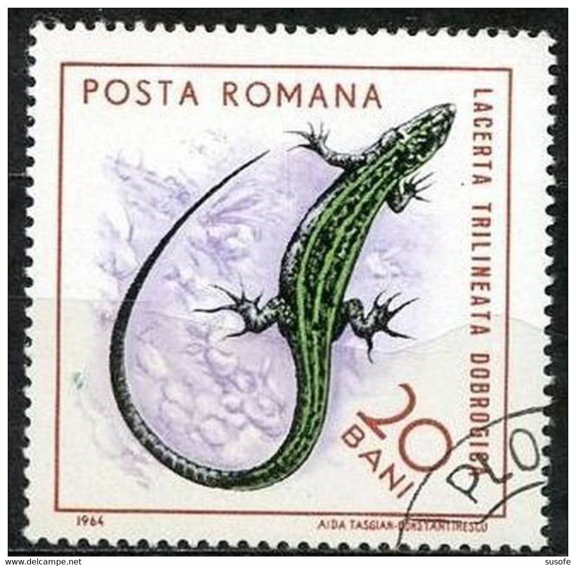 Rumania 1964 Scott 1721 Sello * Fauna Reptiles Lagarto Lacerta Triilineata Dobrogisa Michel 2379 Yvert 2102 R. P. Romina - Neufs