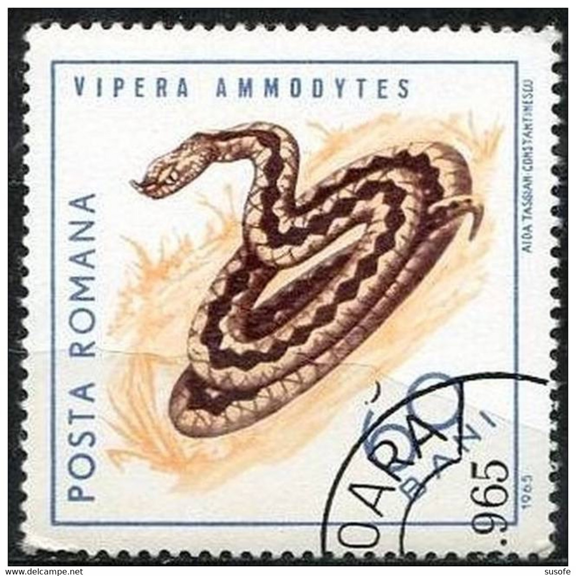 Rumania 1964 Scott 1724 Sello * Fauna Reptiles Serpiente Vipera Ammodytes Michel 2382 Yvert 2105 R. P. Romina Romania - Neufs