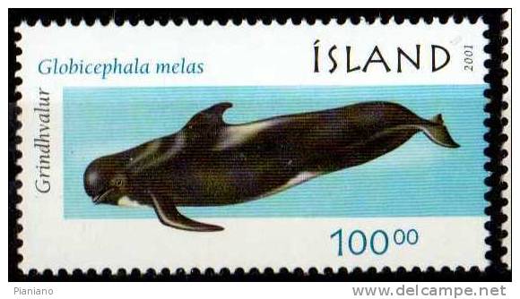PIA - ISLANDE - 2001 - Faune : Cétacés  - (Yv 917-20) - Unused Stamps