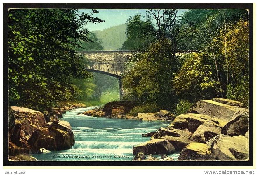 Steinerne Brücke Im Schwarzatal Thüringen  -  Ansichtskarte Ca.1910    (1116) - Bad Blankenburg