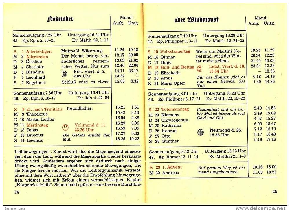Eutiner Klenner Für Das Jahr Christi 1981 , Kalenderdarium Mit Mondauf- Und Untergangszeiten , Mondphasen - Calendars