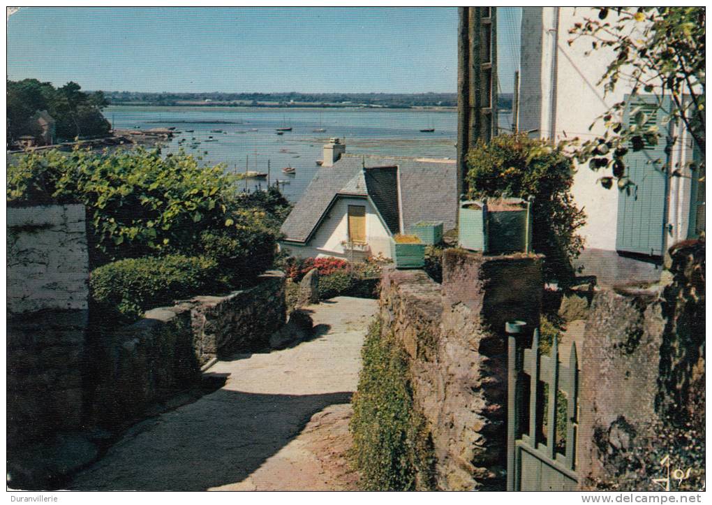 56 - ILE AUX MOINES - Petite Ruelle Descandant Sur Le Port, Vue Sur Le Golfe. CPSM 1966 - Ile Aux Moines