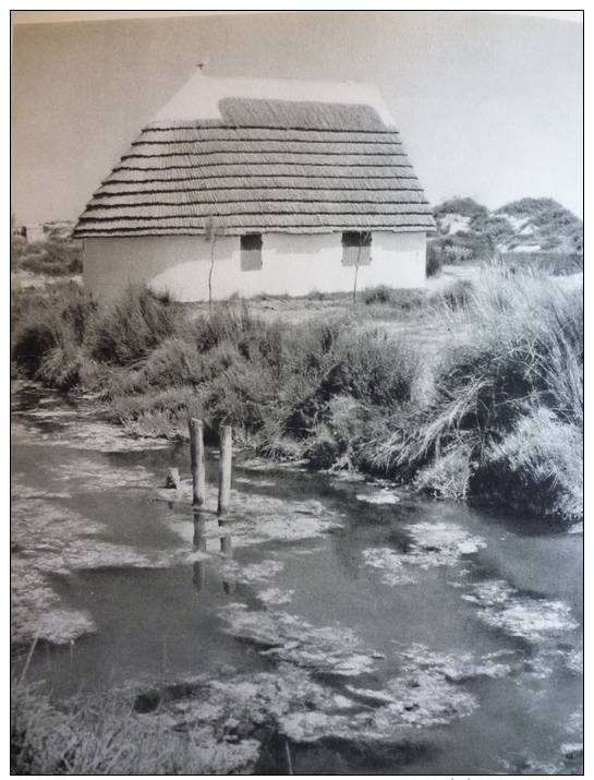 Provence , Camargue , Maison De Gardian , Héliogravure 1954 - Documents Historiques