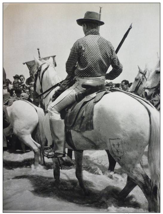 Provence , Camargue , Gardian A Cheval , Héliogravure 1954 - Documents Historiques