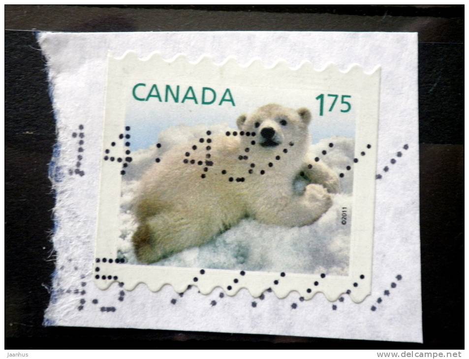 Canada - 2011 - Mi.nr.2685 - Used - Animal Babies - Polar Bear - Self-adhesive - On Paper - Oblitérés