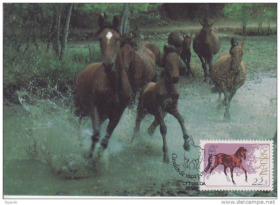 PORTUGAL CARTE MAXIMUM NUM.YVERT  1671 ANIMAUX CHEVAUX DE RACE PORTUGAISE - Tarjetas – Máximo