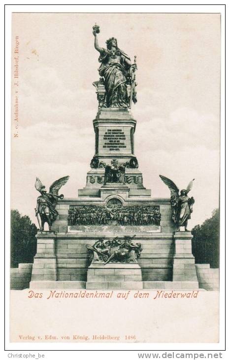 AK Das Nationaldenkmal Auf Dem Niederwald (pk4749) - Rheingau