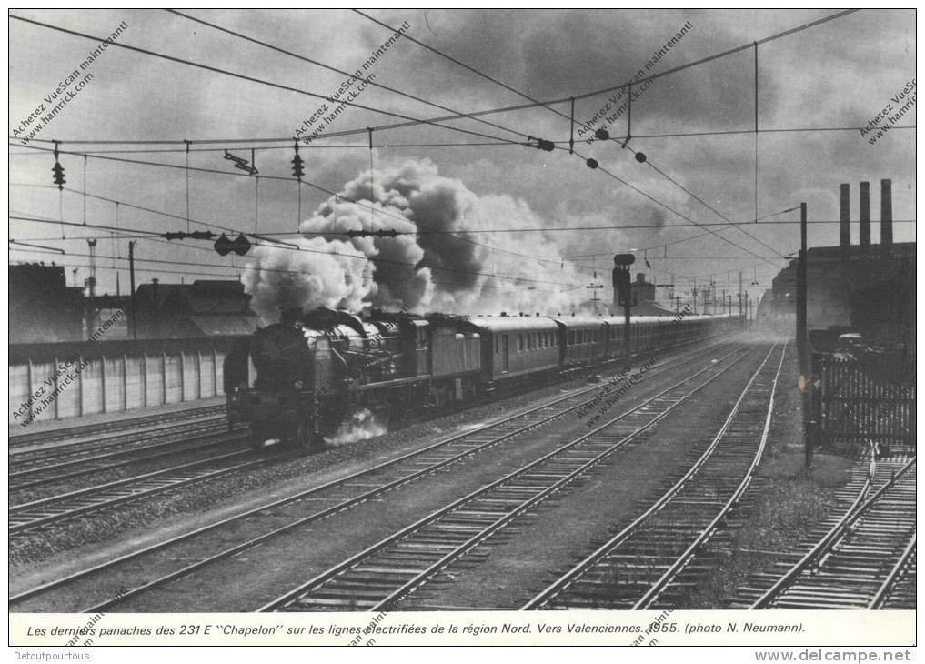 FERROVIAIRE / TRAIN / SNCF / Image : Locomotive à Vapeur Derniers Panache Des 231 E Chapelon Vers Valenciennes 1955 - Altri & Non Classificati