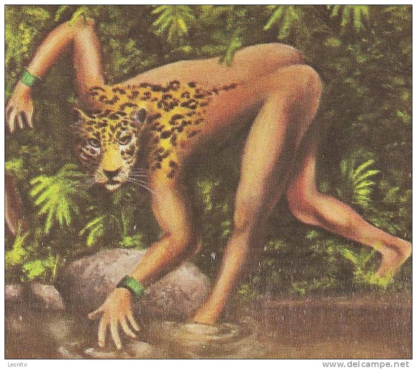 JAGUAR MAYA NATURE Mayan Mythology God Of The Underworld GUATEMALA - Guatemala