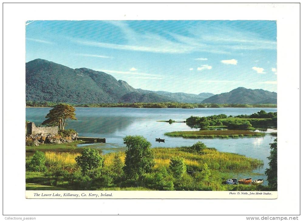 Cp, Irlande, Killarney, The Lower Lake - Kerry