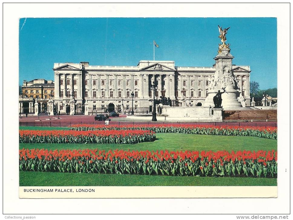 Cp, Angleterre, Londres, Buckingham Palace,  Voyagée (non Oblitérée) - Buckingham Palace