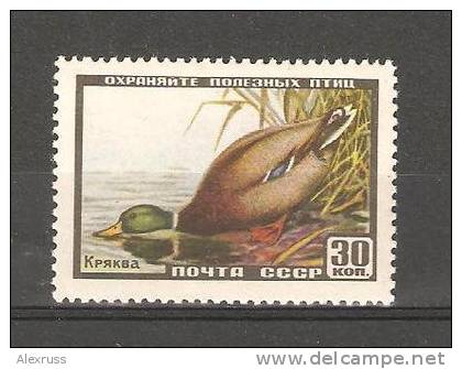 RUSSIA/USSR 1957, Birds, Ducks Mallard, Scott # 1921,VF MLH - Entenvögel