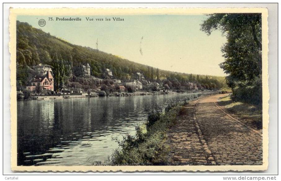 PROFONDEVILLE-VUE VERS LES VILLAS-EDIT.FERDINAND HENRY-PROFONDEVILLE-CARTE ENVOYEE - Profondeville