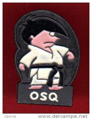 21662-pin's Judo.arts Martiaux.OSQ.SAINT QUENTIN FALLAVIER . - Judo