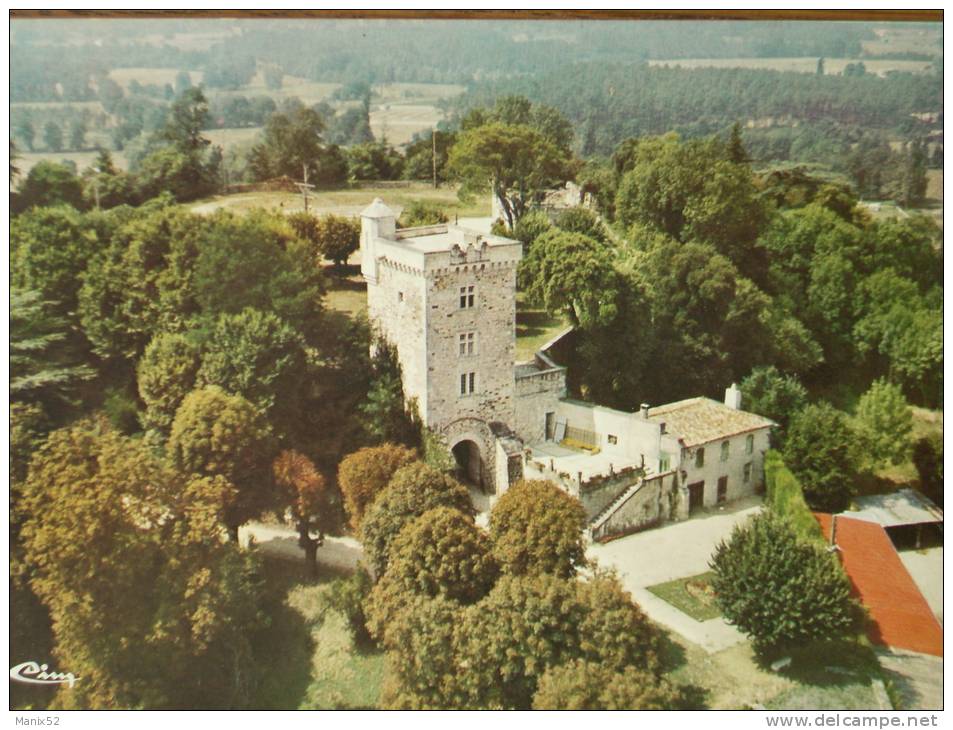 17 - MONTENDRE-les-PINS - Vue Aérienne - Le Château De Montendre. - Montendre