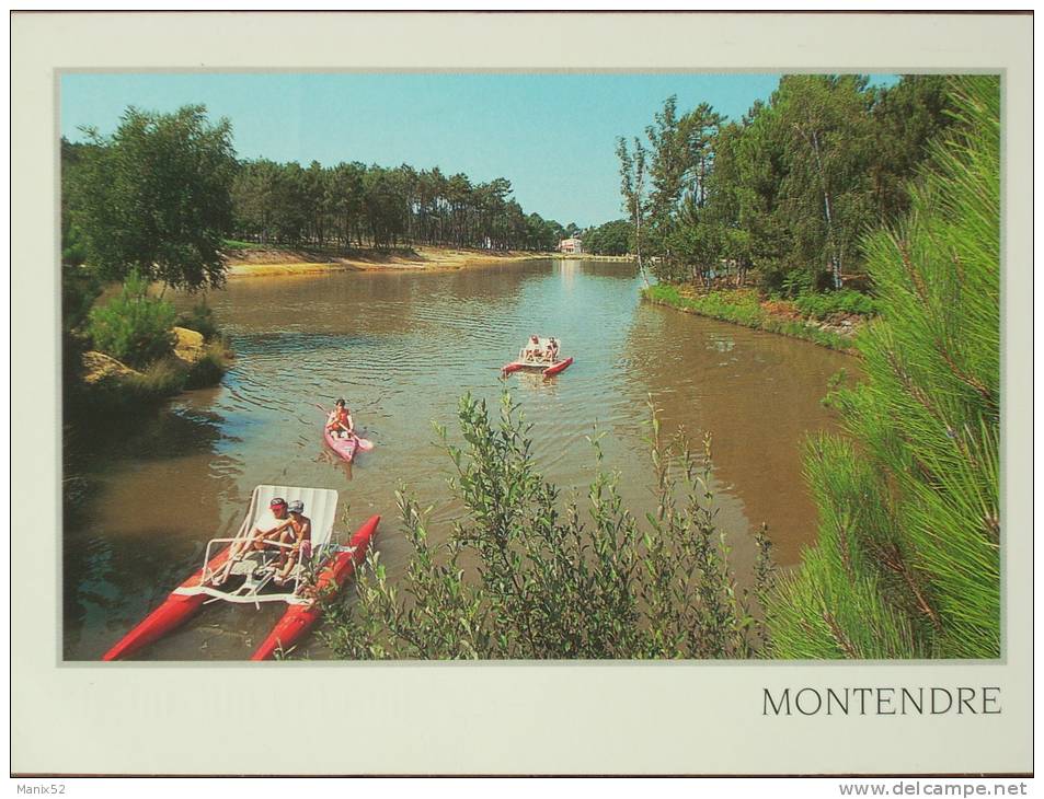 17 - MONTENDRE-les-PINS - Activités Nautiques Sur Le Lac Ombragé De Pins (Pédalos) - Montendre