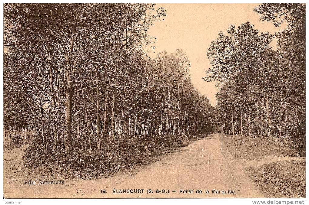 R / 12 / 4 / 270  - ELANCOURT ( 78 )  - Forêt De La Marquise - Elancourt