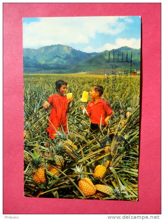 Field Ripe Pineapples  1959 Cancel  ====   === Ref 496 - Andere & Zonder Classificatie