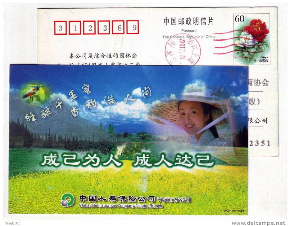 Bee,honeybee,honey Bee,apiculture Beemistress,CN 02 Life Insurance Ningbo Branch Advertising Pre-stamped Card - Abejas