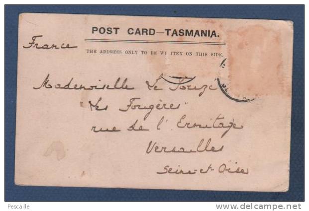 AUSTRALIA TASMANIA - CP COLUMBA FALLS - GEORGE RIVER - TASMANIAN SERIES - J. W. BEATTIE HOBART - Altri & Non Classificati