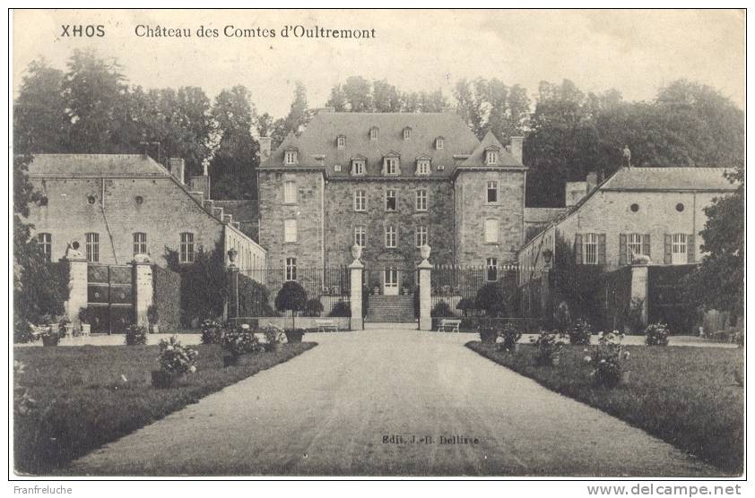 XHOS (4160) Chateau Des Comtes D ' Oultremont ( édit Dellisse ) - Anthisnes