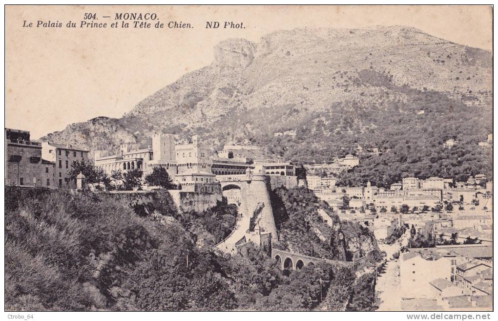 CPA MONACO 98 - Le Palais Du Prince Et La Tête De Chien - Palais Princier