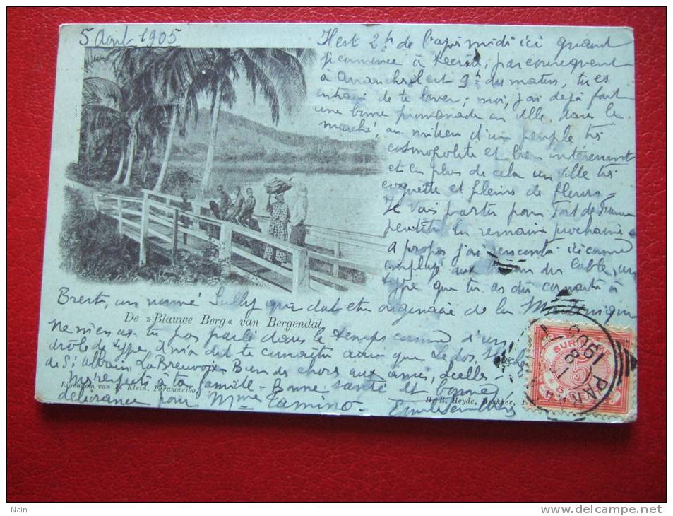 SURINAM - DE " BLAUVE BERG " VAN BERGENDAL - CARTE RARE - + CACHET " SURINAM VIA HAVRE " - Surinam