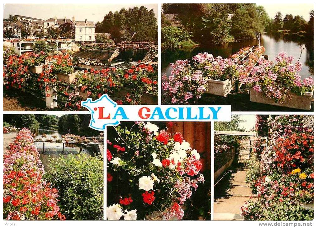 Morbihan : Réf : D-12-1131 : La Gacilly - La Gacilly