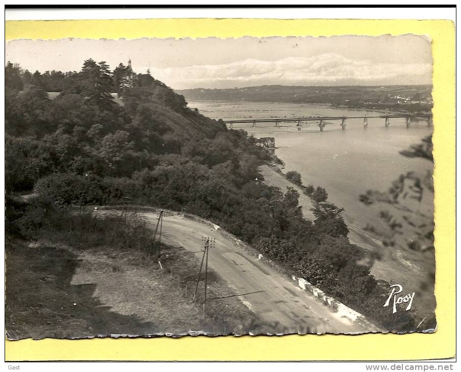 49  CHAMPTOCEAUX   LA  ROUTE  EN  LACETS  LE  COTEAU  ET  LA  LOIRE - Champtoceaux