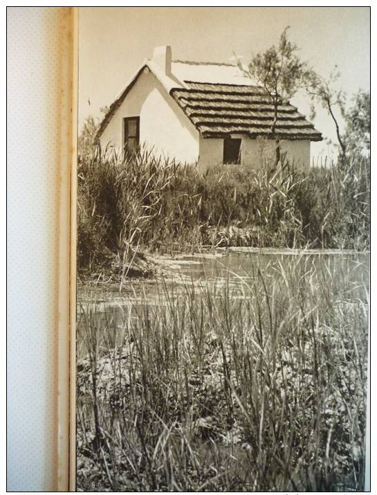 La Camargue , Cabane De Gardian , Héliogravure 1962 - Documents Historiques