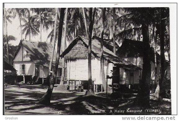 A MALAY KAMPONG VILLAGE 7219 (CARTE PHOTO) - Malaysia