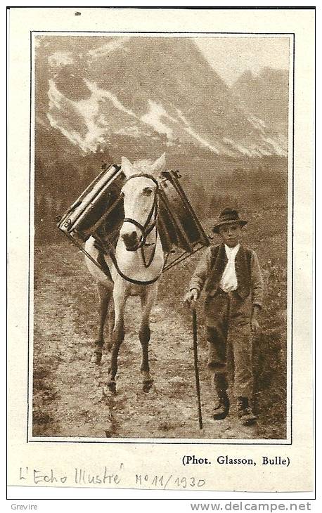 En Gruyère , Le "barlatè" Descend Les Fromages à Dos De Mulet, Coupure Originale De L´Echo Illustré No 11/1930 - Documents Historiques