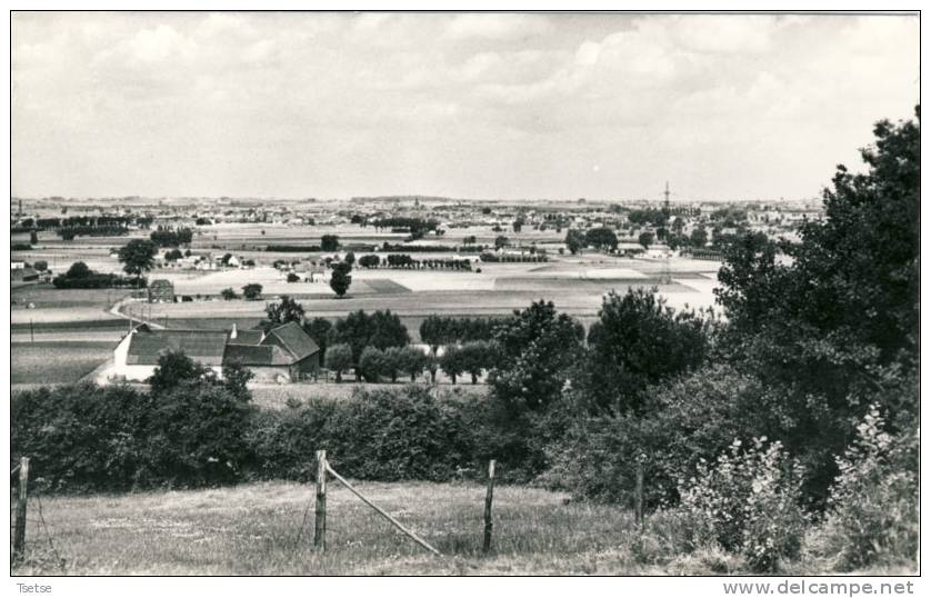 Mont-de-l´Enclus / Kluisberg - Panorama - Mont-de-l'Enclus